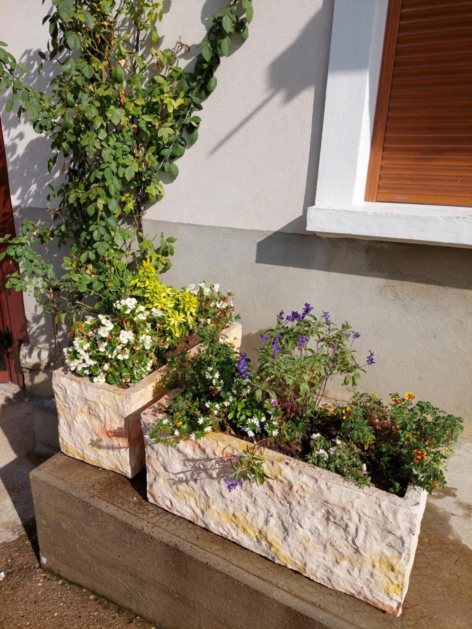 Les Copains D'Abord Villa Beaucroissant Dış mekan fotoğraf
