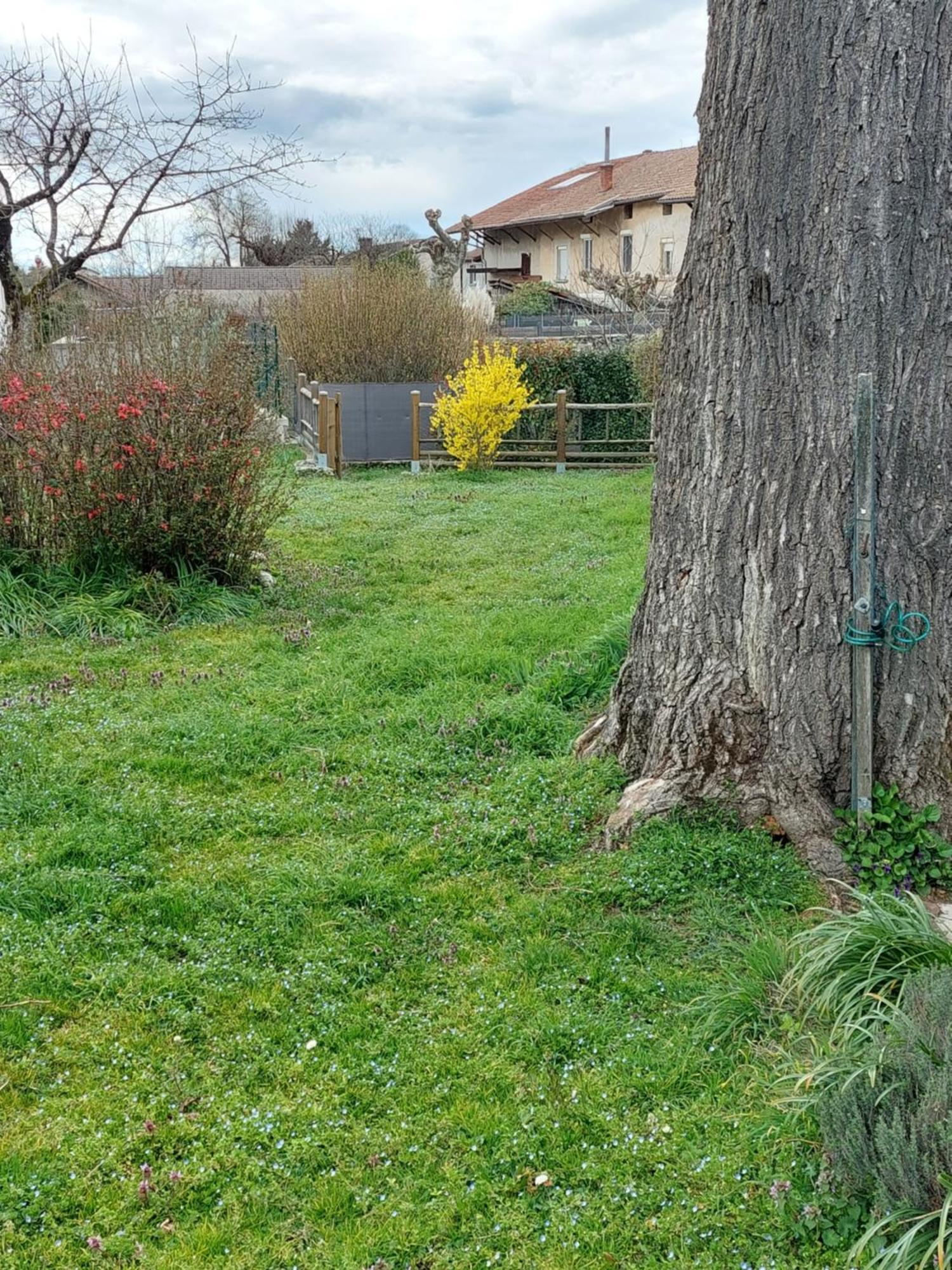 Les Copains D'Abord Villa Beaucroissant Dış mekan fotoğraf